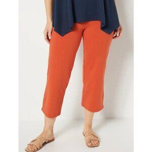 Women with Control Regular Tummy Control Full Leg Crop Pants Burnt Sienna Large